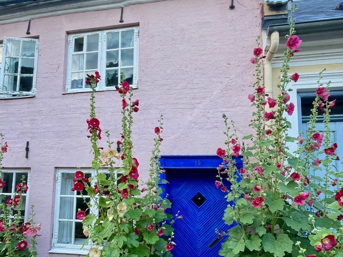 Roze huis met blauwe deur en stokrozen op Ærø