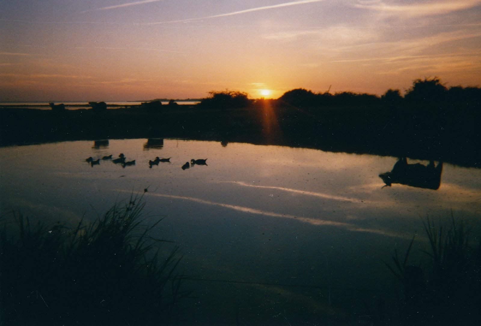 Avondsfeer op Avernakø met zonsondergang boven het water