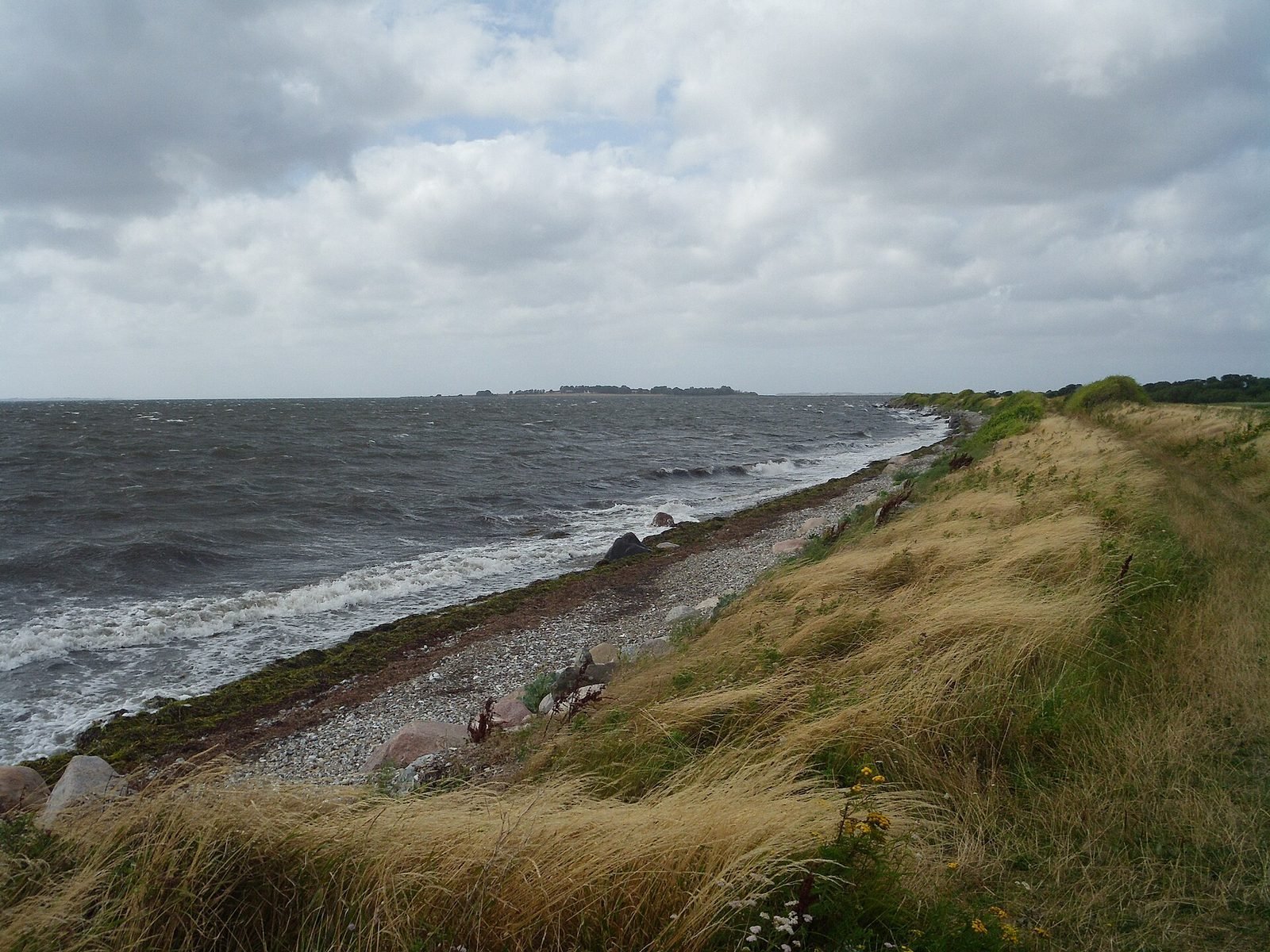 Natuurstrand en kust in het zuiden van Drejø